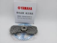 Ланцюг та зірки Yamaha YBR 125