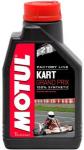 303001/KART GRAND PRIX 2T (1L)/100015=105884